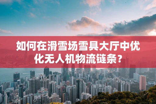 如何在滑雪场雪具大厅中优化无人机物流链条？