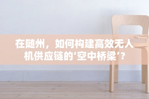 在随州，如何构建高效无人机供应链的‘空中桥梁’？