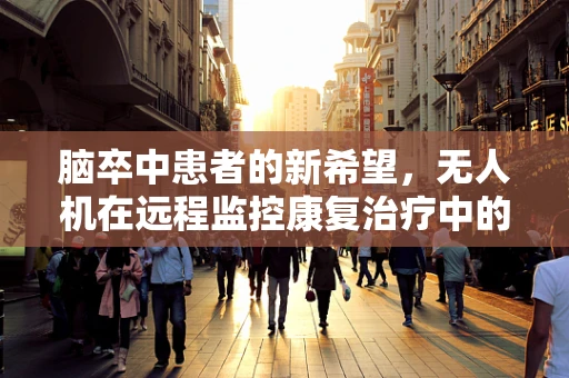脑卒中患者的新希望，无人机在远程监控康复治疗中的应用挑战
