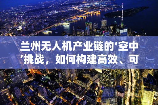 兰州无人机产业链的‘空中’挑战，如何构建高效、可持续的无人机生态系统？