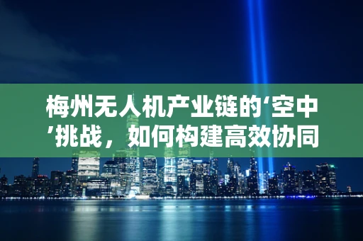 梅州无人机产业链的‘空中’挑战，如何构建高效协同的供应链网络？