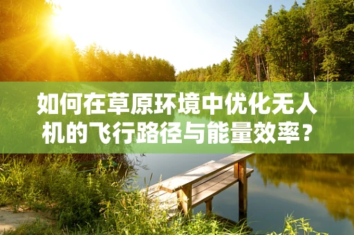 如何在草原环境中优化无人机的飞行路径与能量效率？