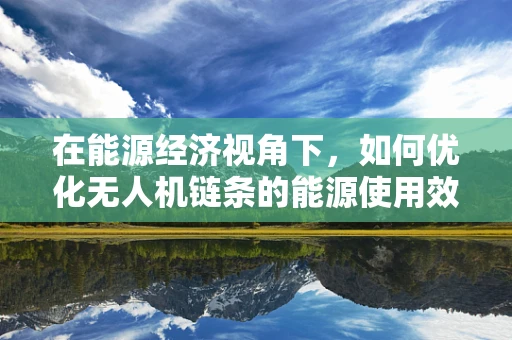在能源经济视角下，如何优化无人机链条的能源使用效率？