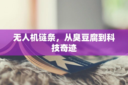 无人机链条，从臭豆腐到科技奇迹