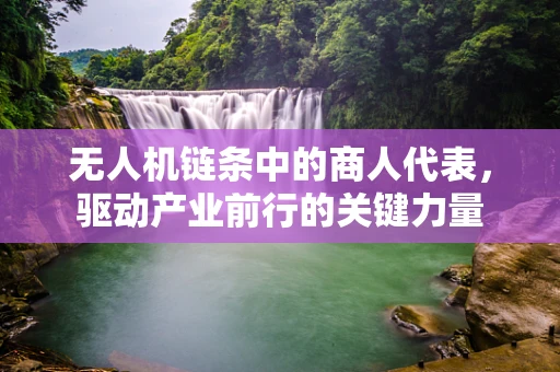 无人机链条中的商人代表，驱动产业前行的关键力量