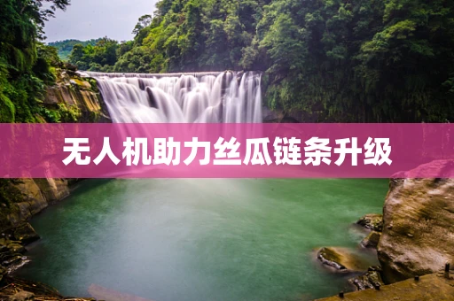无人机助力丝瓜链条升级