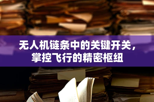 无人机链条中的关键开关，掌控飞行的精密枢纽