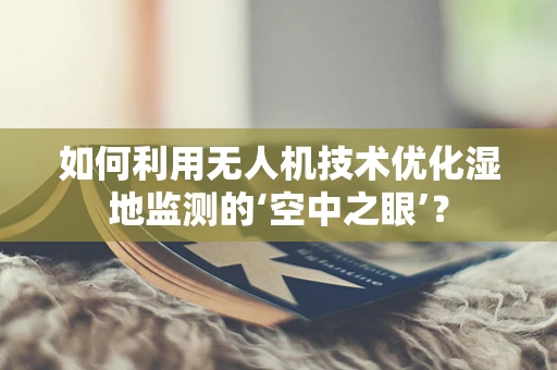 如何利用无人机技术优化湿地监测的‘空中之眼’？