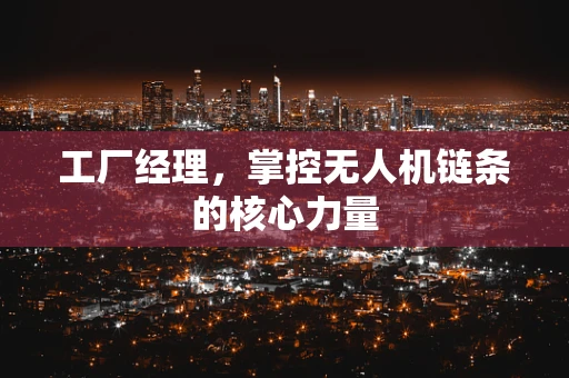 工厂经理，掌控无人机链条的核心力量