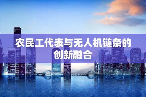 农民工代表与无人机链条的创新融合