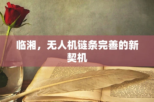 临湘，无人机链条完善的新契机