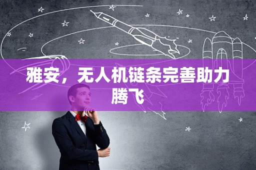 雅安，无人机链条完善助力腾飞