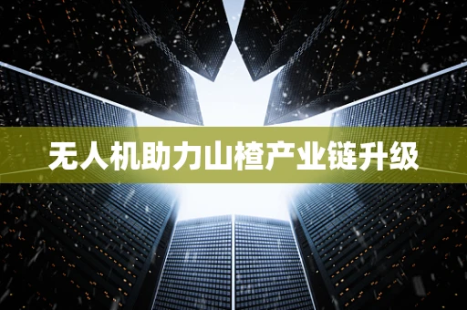 无人机助力山楂产业链升级