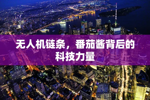 无人机链条，番茄酱背后的科技力量
