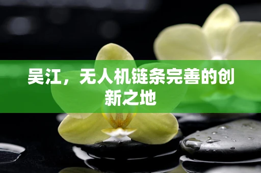 吴江，无人机链条完善的创新之地