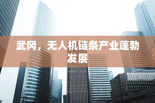 武冈，无人机链条产业蓬勃发展