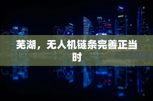 芜湖，无人机链条完善正当时