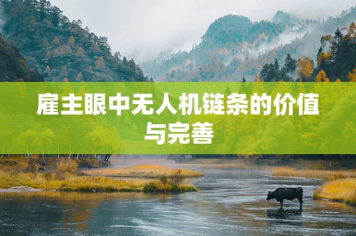雇主眼中无人机链条的价值与完善
