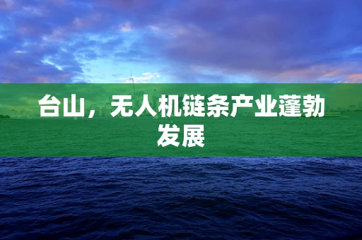 台山，无人机链条产业蓬勃发展