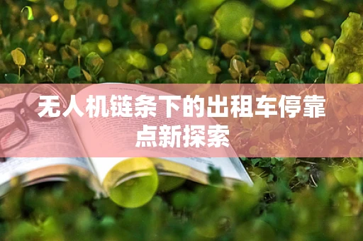 无人机链条下的出租车停靠点新探索