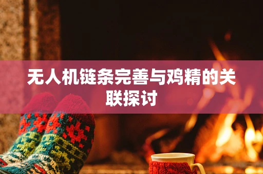 无人机链条完善与鸡精的关联探讨