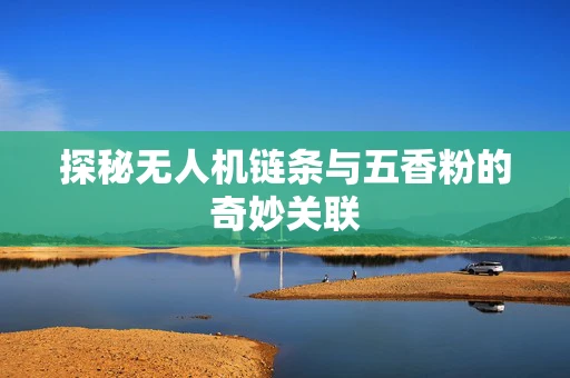 探秘无人机链条与五香粉的奇妙关联