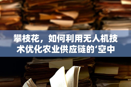 攀枝花，如何利用无人机技术优化农业供应链的‘空中桥梁’？