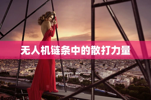 无人机链条中的散打力量