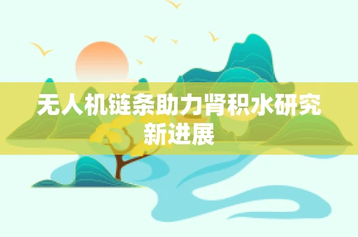 无人机链条助力肾积水研究新进展