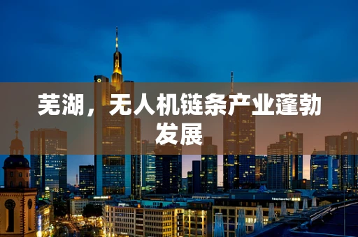 芜湖，无人机链条产业蓬勃发展