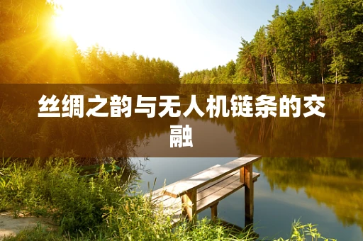 丝绸之韵与无人机链条的交融