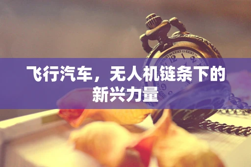 飞行汽车，无人机链条下的新兴力量