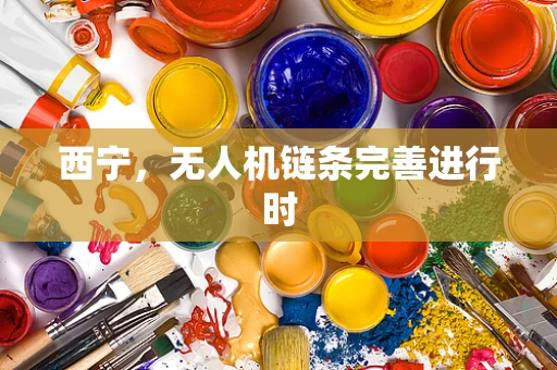 西宁，无人机链条完善进行时