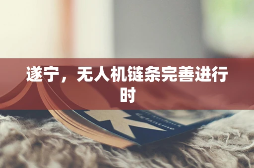 遂宁，无人机链条完善进行时