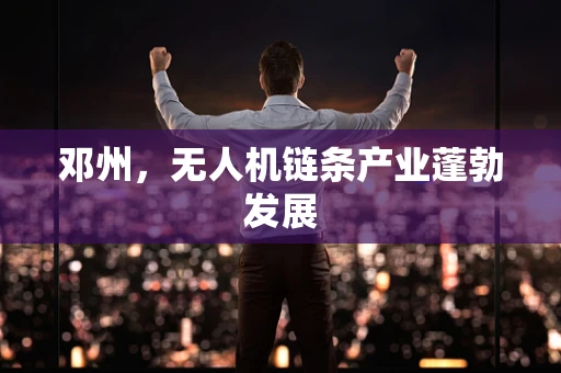 邓州，无人机链条产业蓬勃发展