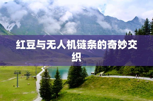 红豆与无人机链条的奇妙交织