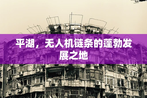 平湖，无人机链条的蓬勃发展之地