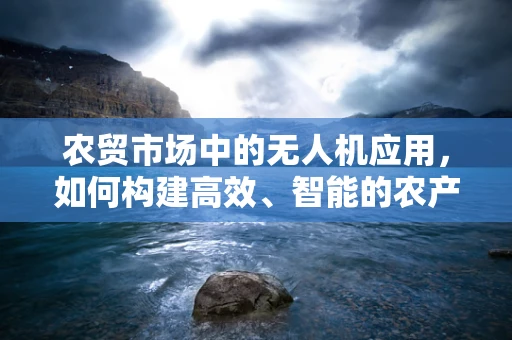 农贸市场中的无人机应用，如何构建高效、智能的农产品供应链？