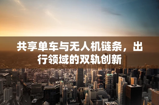 共享单车与无人机链条，出行领域的双轨创新