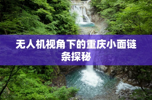 无人机视角下的重庆小面链条探秘