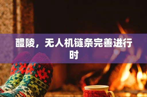 醴陵，无人机链条完善进行时