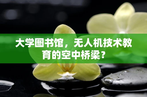 大学图书馆，无人机技术教育的空中桥梁？