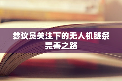 参议员关注下的无人机链条完善之路