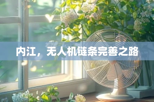 内江，无人机链条完善之路