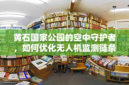 黄石国家公园的空中守护者，如何优化无人机监测链条以提升生态保护效率？