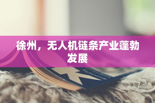 徐州，无人机链条产业蓬勃发展