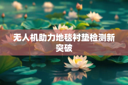 无人机助力地毯衬垫检测新突破