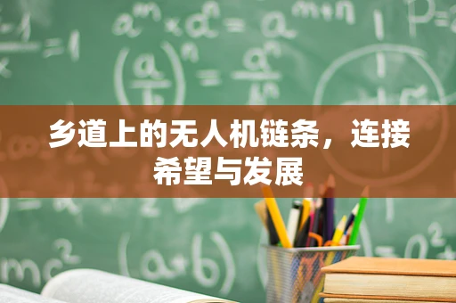 乡道上的无人机链条，连接希望与发展