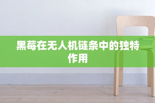 黑莓在无人机链条中的独特作用