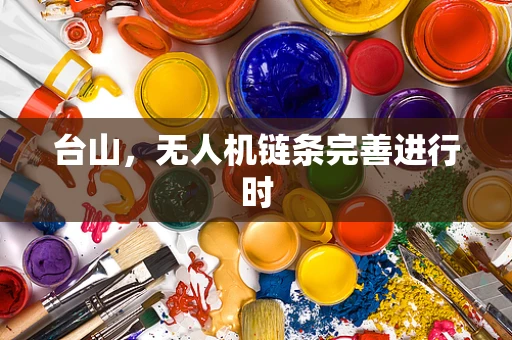 台山，无人机链条完善进行时